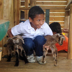 Niño con animales